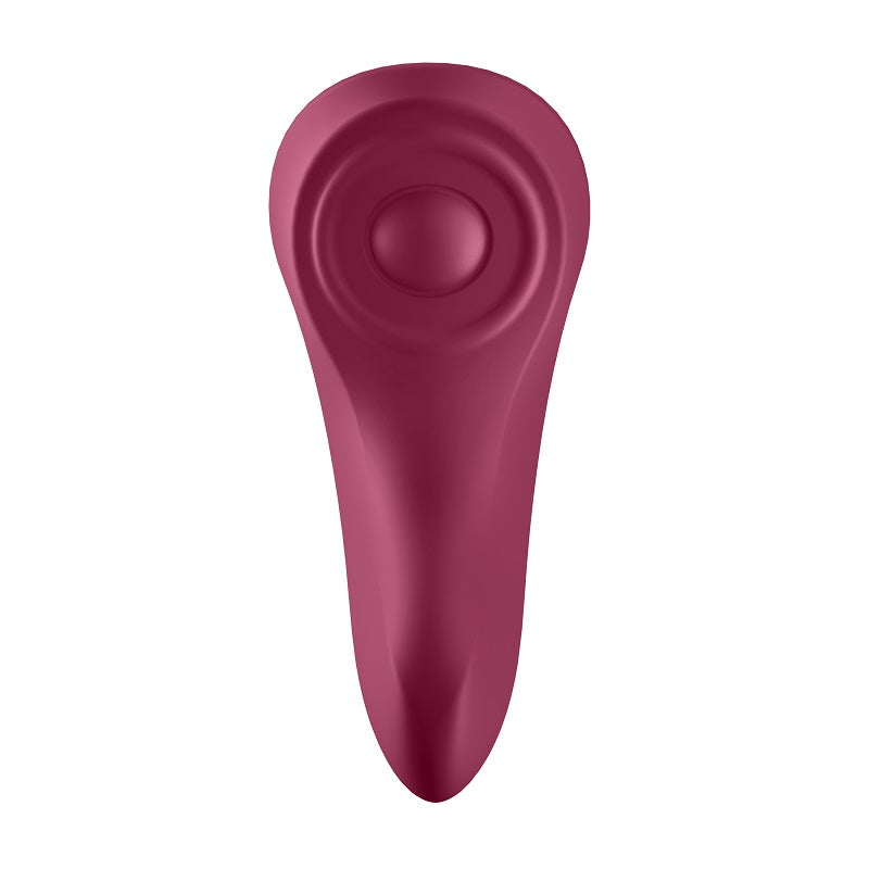 Satisfyer Sexy Secret セクシーシークレット リモコンローター 遠隔操作 大人のおもちゃ