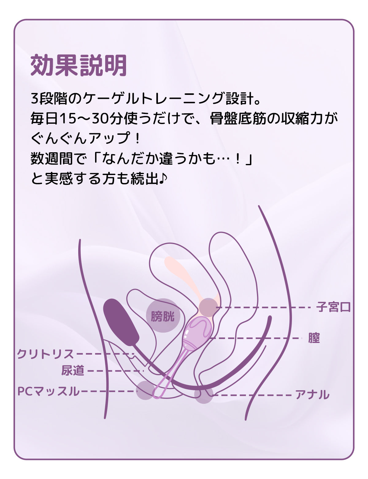 ToyCod コア美 膣トレボール 膣圧トレーニング 尿漏れ対策 初心者向け 産後ケア 骨盤底筋トレーニング